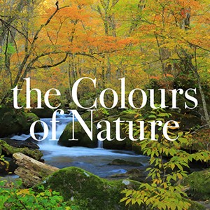 The Colours of Nature (An Inspirational Compilation)