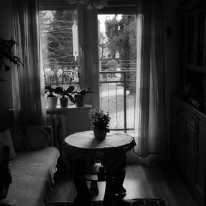 I Warned You (But You Walked Me Anyway)