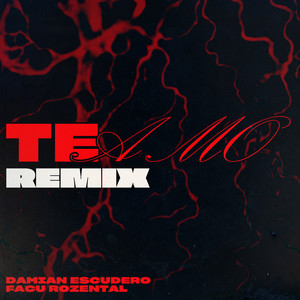 Te Amo (Remix) [Explicit]