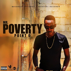 Mr Poverty