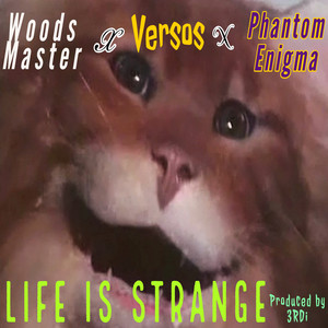 Life is Strange (Explicit)