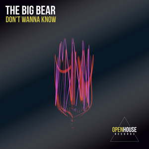 Don't Wanna Know (Original Mix)
