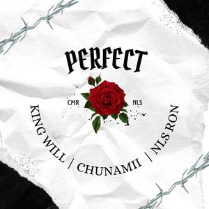 Perfect (feat. King Will & NLS Ron) (Explicit)