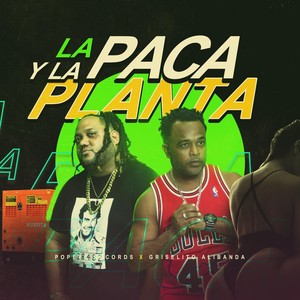 La Paca y la Planta (Explicit)