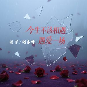 今生不该相遇爱一场