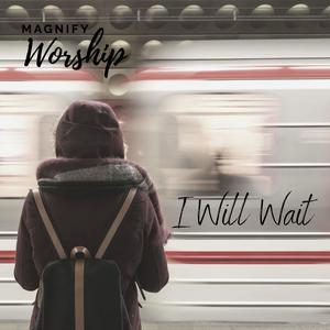 I Will Wait (feat. Allison Hickam)