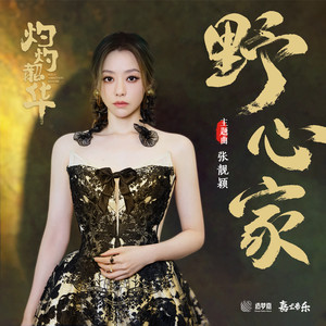 张靓颖 - 野心家
