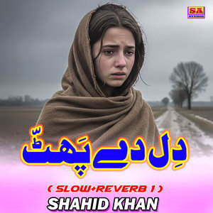 Dil De Phat (Slow Reverb 1)