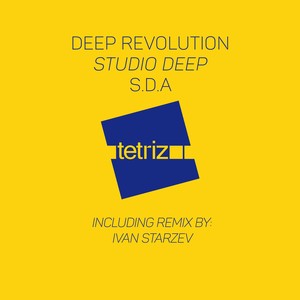 S.d.a (Ivan Starzev Remix)