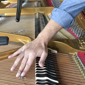 Chiedilo ai pesci 1 per piano spinato