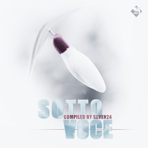 So Strong (Soty & Seven24 Remix)