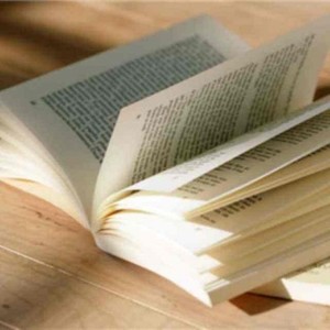 康桥的罗兰 (书屋印象曲)