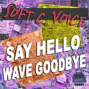 Say Hello Wave Goodbye