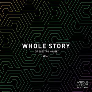 Whole Story Of Electro House Vol. 1