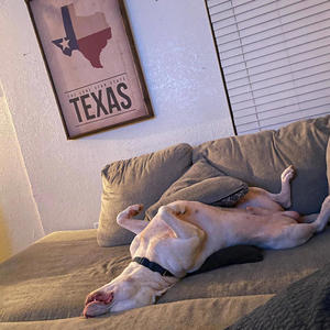 Attention (Explicit)