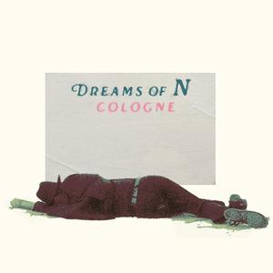 DREAMS OF N