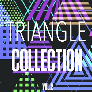 Triangle Collection, Vol. 2 - Best of House, Tech House and Techno