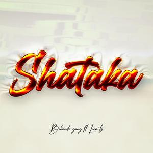 Shataka (feat. Bikondo gang & Harmonize) [Explicit]