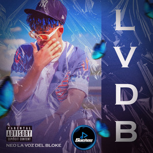 LVDB (Explicit)