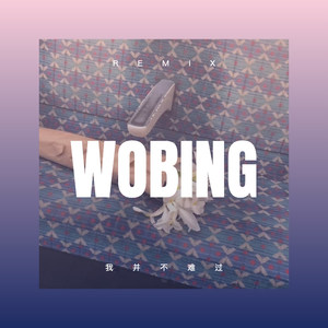 我并不难过 (DJ版)