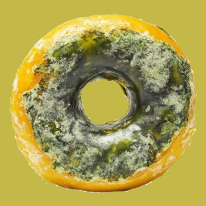 Trapped at Home (Remastered 2025|Explicit)