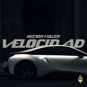 Velocidad