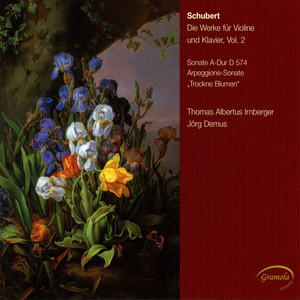 Schubert: Die Werke für Violine und Klavier, Vol. 2