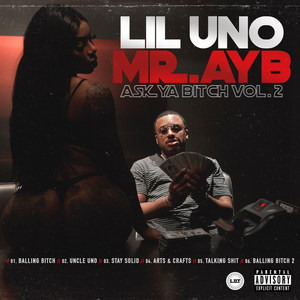 Mr. A.Y.B. (Ask Ya Bitch) , Vol. 2 (Explicit)