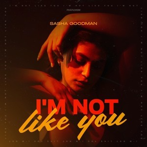 I'm Not Like You (Extended Mix)