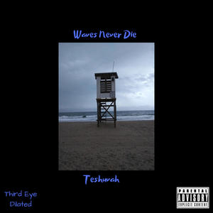 Waves Never Die (Explicit)