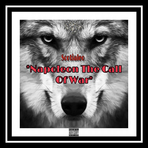 Napoleon The Call Of War