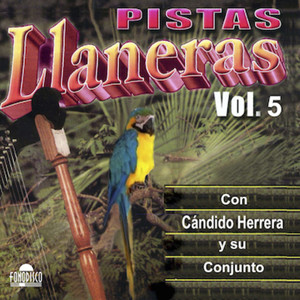 Morena Porque Te Vas (Inst.)