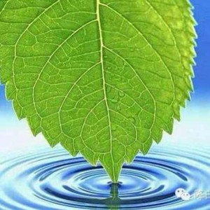 一  尘 - 心无奈 (国语版)