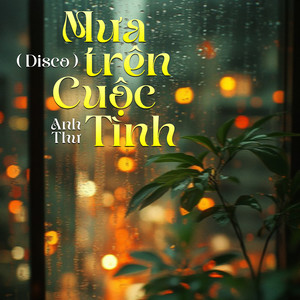 Mưa Trên Cuộc Tình (Disco)