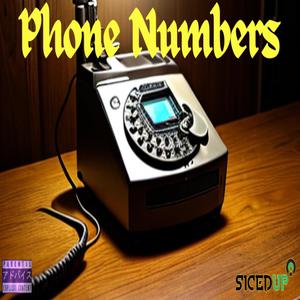 Phone Numbers (Explicit)