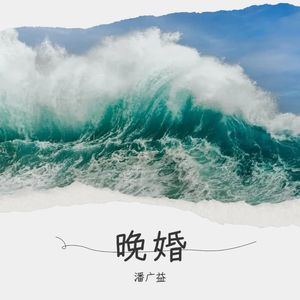 爱情转移(国) - 潘广益封面