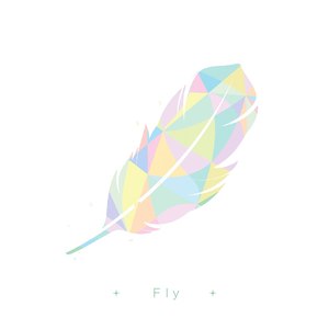 Fly