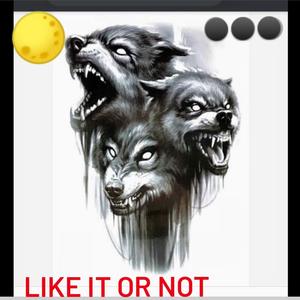 Like it or Not (feat. Cire & Skoop) (Explicit)