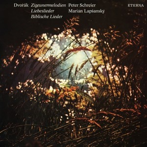No. 4, Als die alte Mutter mich noch lehrte singen