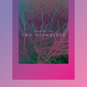 Two-Chambered