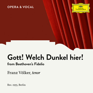 Beethoven: Fidelio, Op. 72: Gott, welch' Dunkel hier