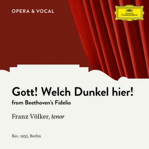 Fidelio, Op. 72 - Gott, welch' Dunkel hier (歌剧《费德里奥》,Op. 72)