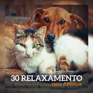 30 Relaxamento para Animais - Música Anti Stress, Melhor Sono, Estado Zen, Boa Influência, Freqüência Positiva, Sons Calmantes