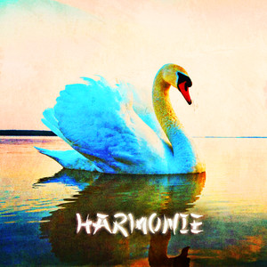 Zen & Relaxation: Harmonie