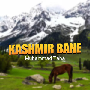 Kashmir Bane