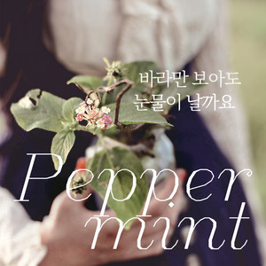 바라만 보아도 눈물이 날까요 (Feat. 비아 (Via) ] (为什么远看也出眼泪)