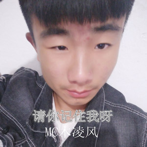 请你记住我呀