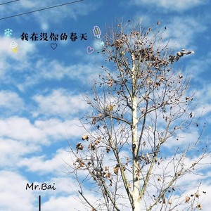 爱太狂热难免把心烧了