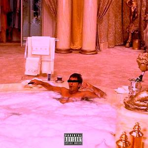 Woods In The Mansion (Explicit)