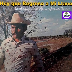 Hoy que Regreso a mi Llano